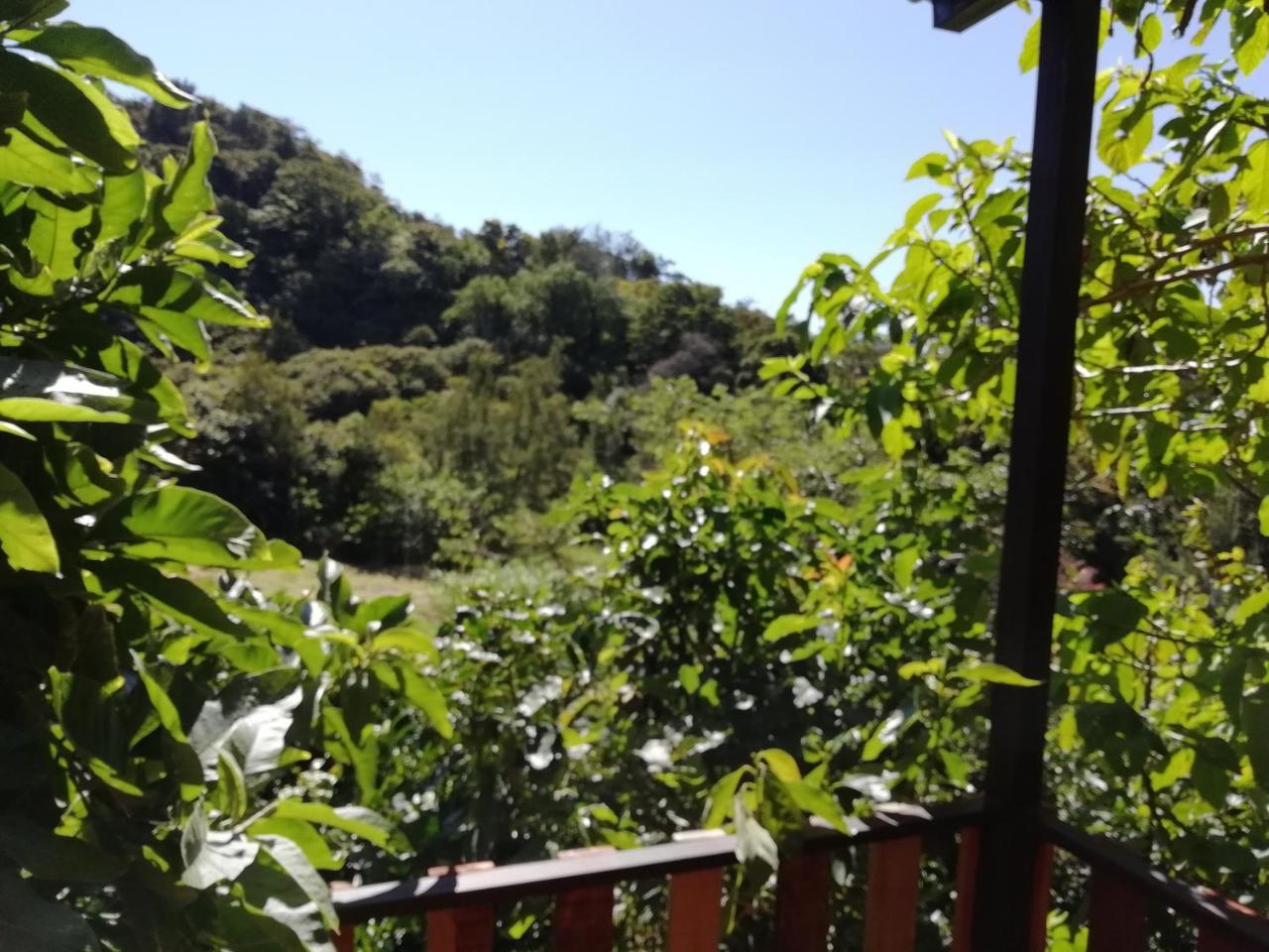 La Guayaba Monteverde Ngoại thất bức ảnh